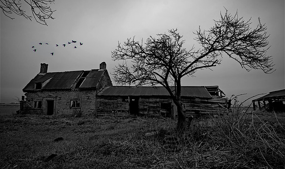 Derelict farm